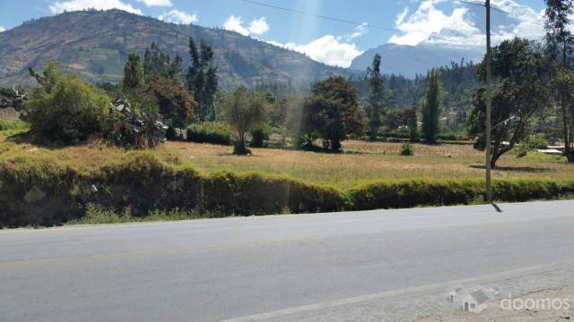 remato terreno en plena carretera