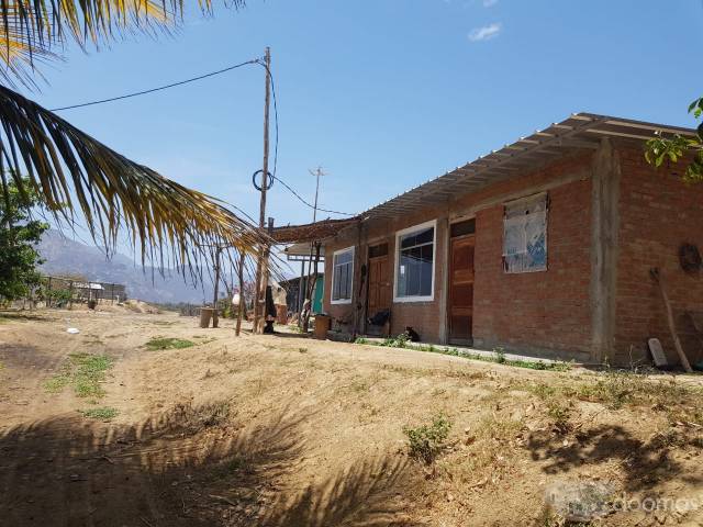 TERRENO AGRICOLA 28 (VENTIOCHO) HECTAREAS EN PLANO, (SECTOR HUMEDADES) UBICADO A 15 MIN DE LA PLAZA DE ARMAS DE MOTUPE-LAMBAYEQUE.