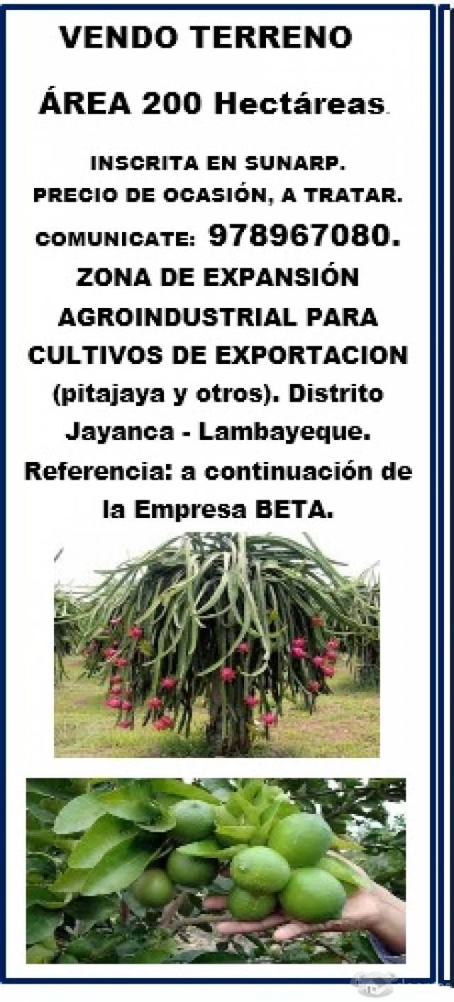 VENDO TERRENO ZONA DE EXPANSIÓN AGROINDUSTRIAL PARA CULTIVO DE EXPORTACIÓN PITAJAYA  DISTRITO JAYANCA LAMBAYEQUE