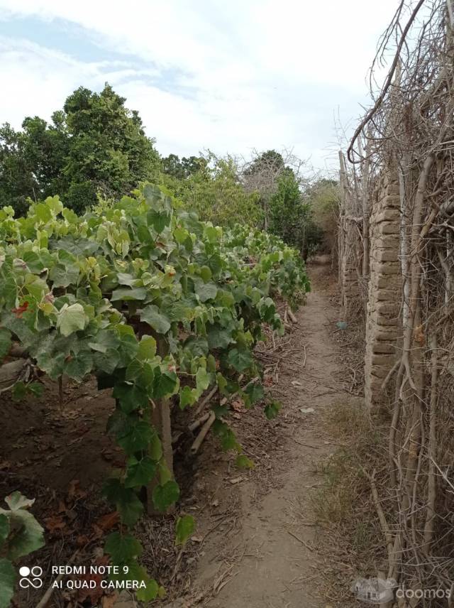 venta de terreno