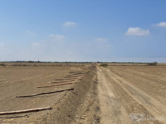 Terreno Agrícola 25 Has (UC316) Ubicado a la altura del KM 650