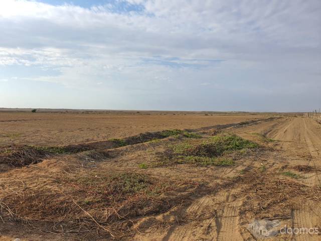 Terreno Agrícola 25 Has. Ubicado a la altura del KM 641