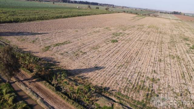 SE VENDE TERRENO RURAL DE 5 HECTAREAS EN POZUELO NORTE