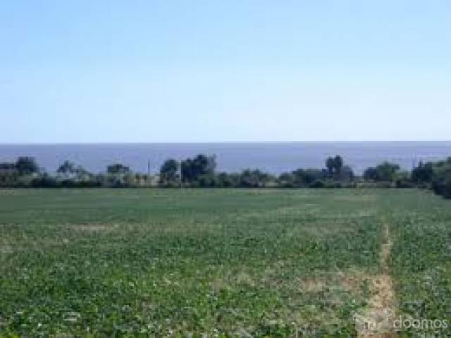 Es un terreno de campo agrícola ubicado en el anexo la laguna con acseo por la panamericana sur muy cerca a la autopista