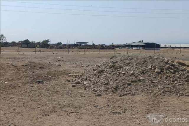 Amplio terreno en Chincha-Ica