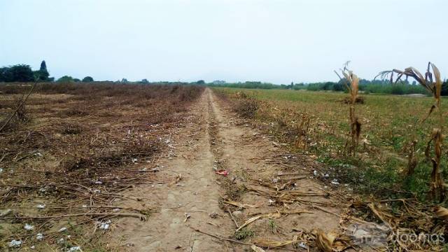 Se vende Terreno Agrícola en el Distrito del Carmen - Chincha Alta