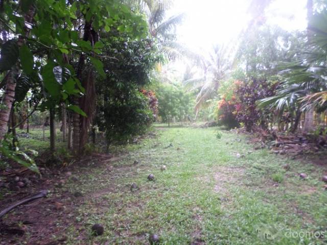 Terreno de Campo en Tarapoto