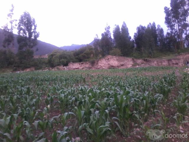 Terreno en venta en la mejor zona del valle sagrado de los incas Urubamba Cusco