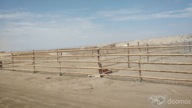 Terrenos de Playa en Colan - Piura