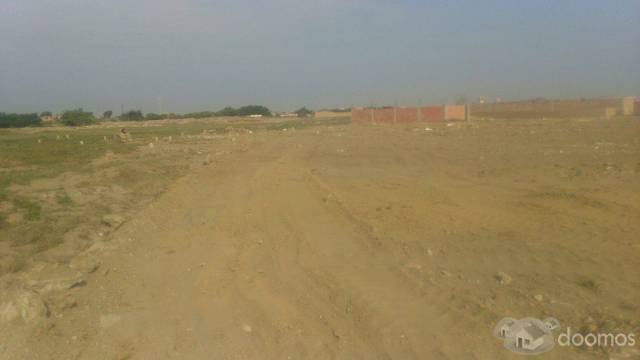 VENDO TERRENOS DE 120 M2 6m x 20m EN MONSEFÚ CHICLAYO