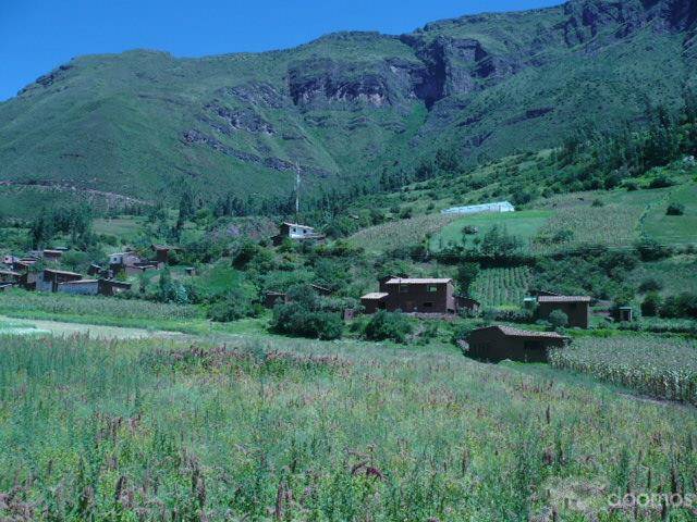 ¡¡¡TERRENO EN CUSCO, CALCA¡¡¡