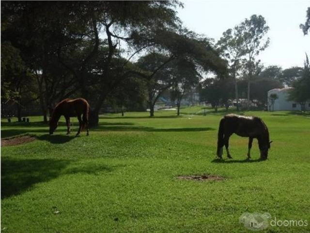 VENDO TERRENO EN CHACLACAYO 2OOm²