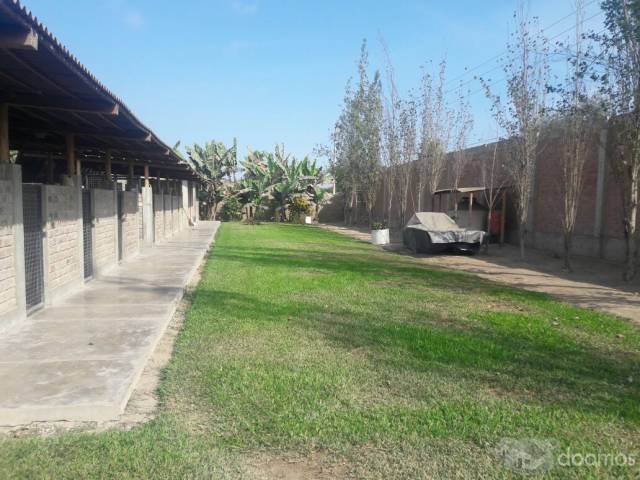 VENTA TERRENO DE 1ha o 1/2ha A TRATAR