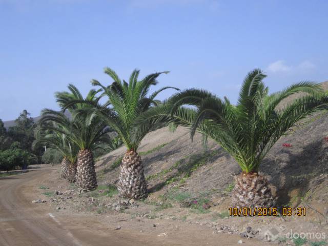 Vendo Terreno para casa de Campo