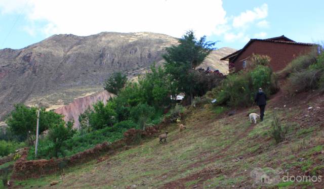 Casa - Huerta 2200m2