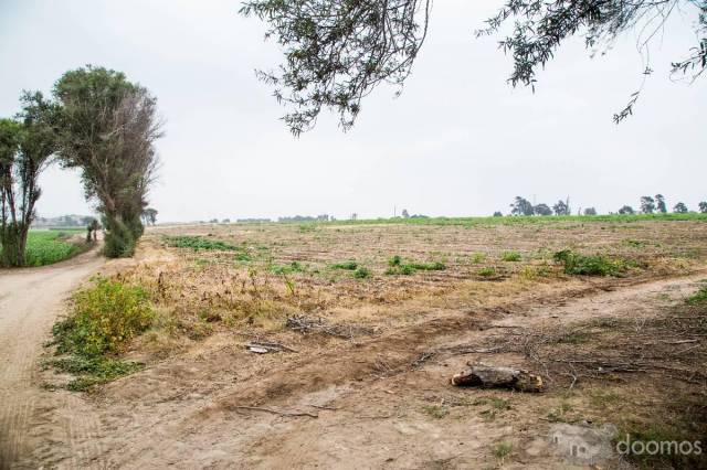 Oportunidad de Inversión - Fundo Peralvillo, Huaura - Terreno saneado con Habilitacion Urbana aprobada