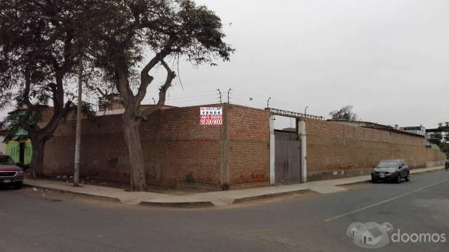 PROPIEDAD EN ESQUINA CON 1000 M2 (50 X 20)