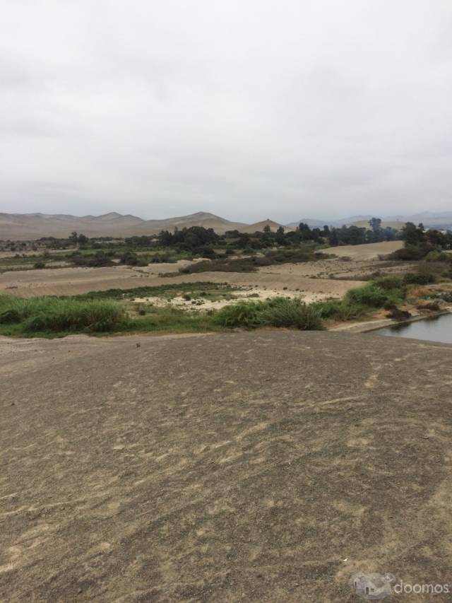 REMATO TERRENO AGRICOLA EN HUACHO FRENTE A LAS ALBUFERAS DE MEDIO MUNDO