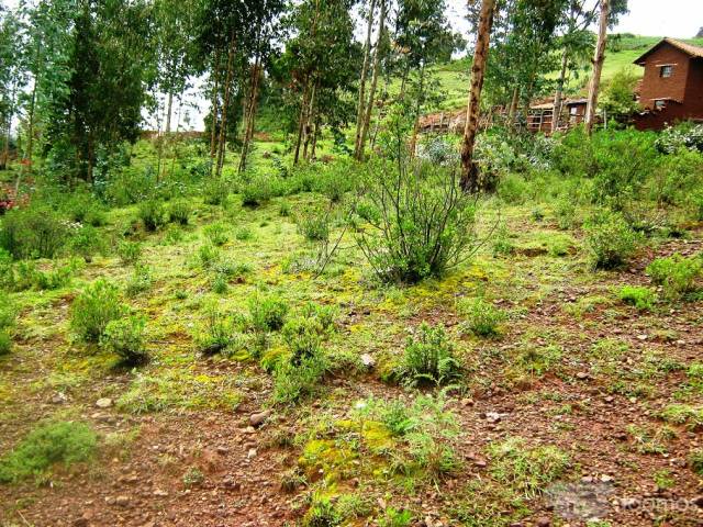 ASOCIACION QHAPAQÑAN Venta de terreno por lotes de 200 metros cuadrados a mas en la ciudad del Cusco