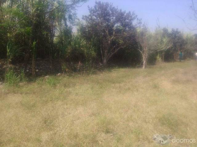 VENTA DE TERRENO DE 5900M2 EN LAREDO-BARRAZA