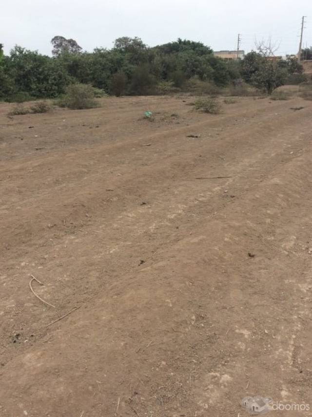 venta de lotes en pachacamac