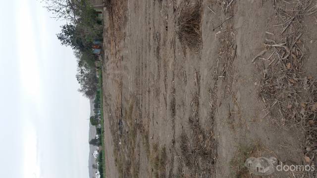 REMATO TERRENO DE 2,202.90 M2 EN LURIAMA (HUACHO)