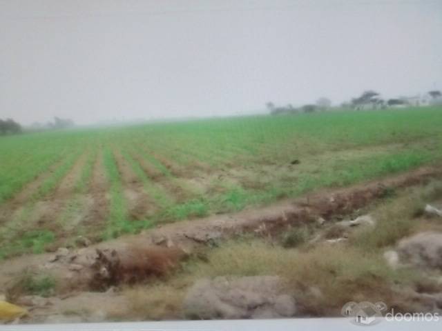 TERRENO UBICADO EN PLENA PANAMERICANA NORTE