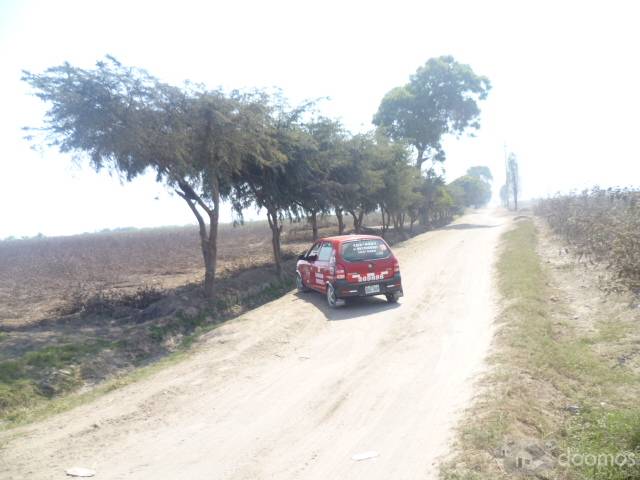 Remato terreno de Cultivo