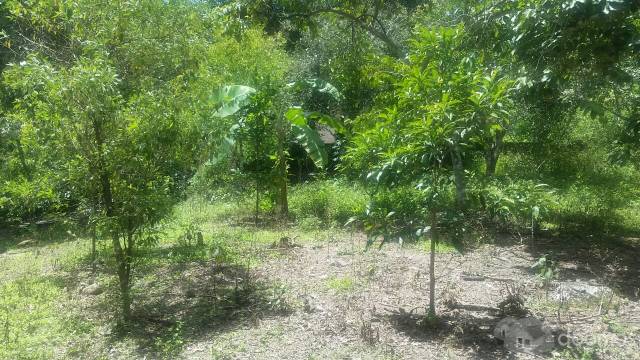 SE REMATA   CASA DE CAMPO EN EL CORAZÓN DE LA SELVA CENTRAL