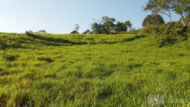 VENTO TERRENO