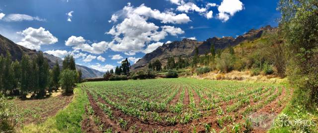 Venta de terreno en el Valle Sagrado de los Incas - Pisac