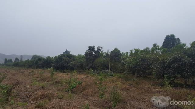 VENDO TERRENO 23, 229 m2 en PALPA -- HUARAL