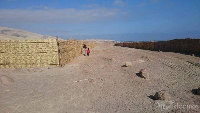 LOTE DE 5,000 MTS CUADRADOS EN CAMANA cerca a la Panamericana Sur