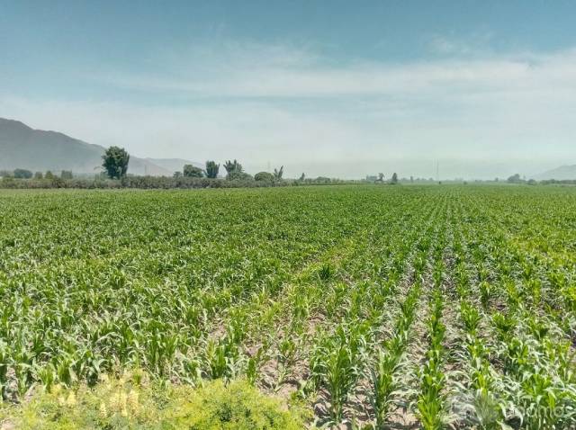 Terreno Pre-Urbano de 7.89 Hectáreas en Huaral