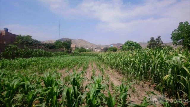 Hermoso terreno en pleno centro de Mala