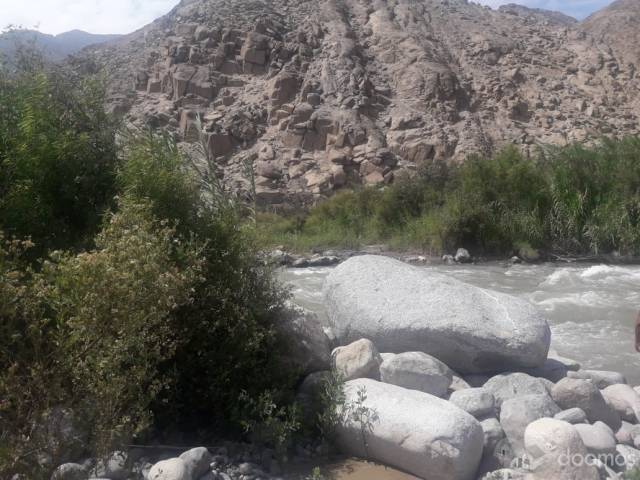 VENDO TERRENO CON AGUA POR OCASIÓN MOTIVO DE VIAJE