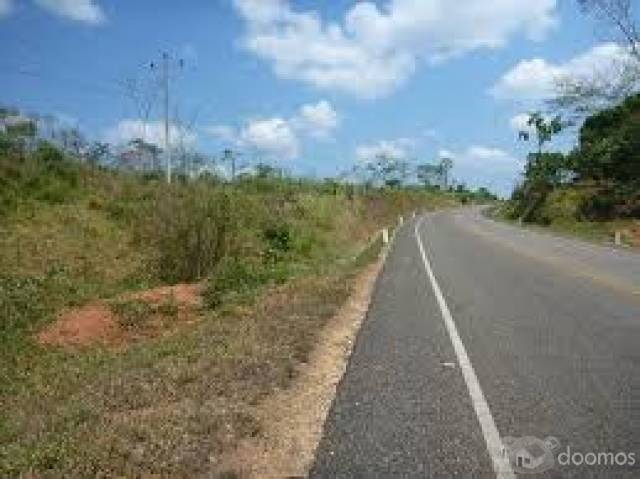 TERRENO PAPELES EN REGLA DE 5000 Y 2500 M2 EN EL TRIUNFO A PIE DE CARRETERA