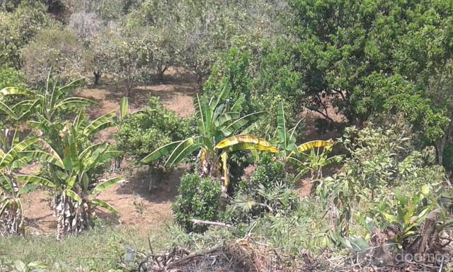 TERRENO PLANO 40 000 METROS MUY CERCA A LA PISTA EN SAN LUIS DE SHUARO