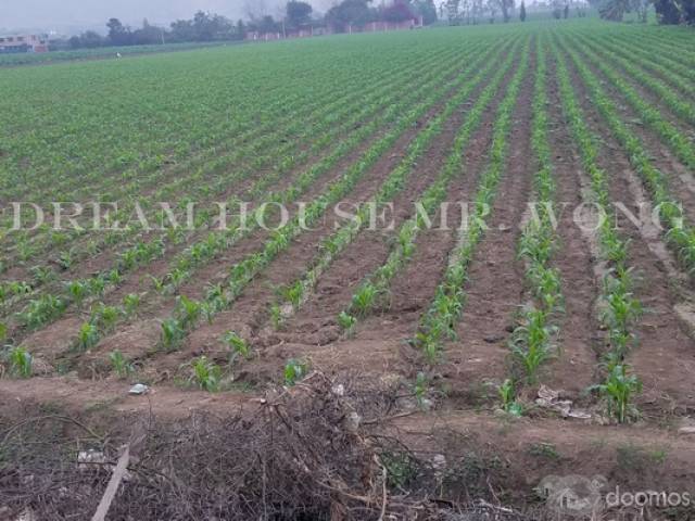 EXCELENTE TERRENO DE CULTIVO DE 1HEC IDEAL PARA CASA DE CAMPO EN HUARAL