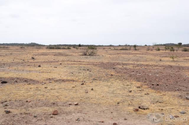 Venta de terrenos Agrícolas