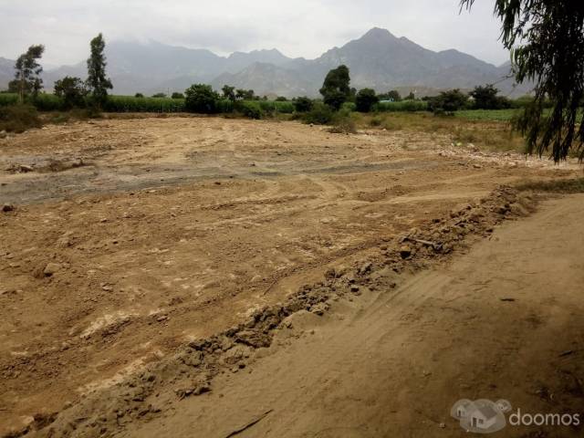 vendo terreno agricola laredo trujillo 2600 m ideal para casa de campo