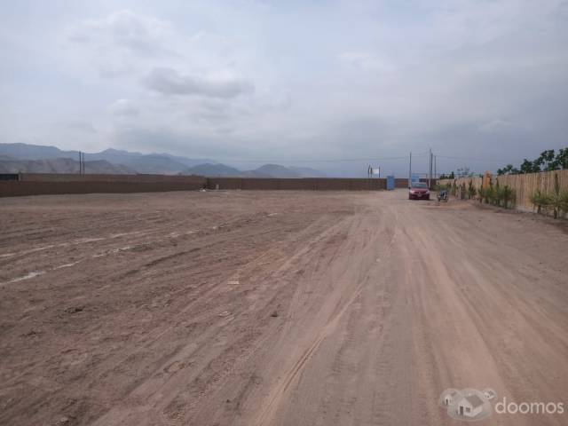 EN VENTA 1 HECTÁREA TERRENO EN QUILMANÁ 20$/M2