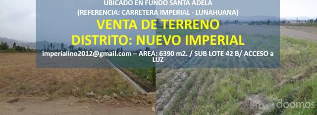 Venta / Alquiler de terreno en Nuevo Imperial - Cañete