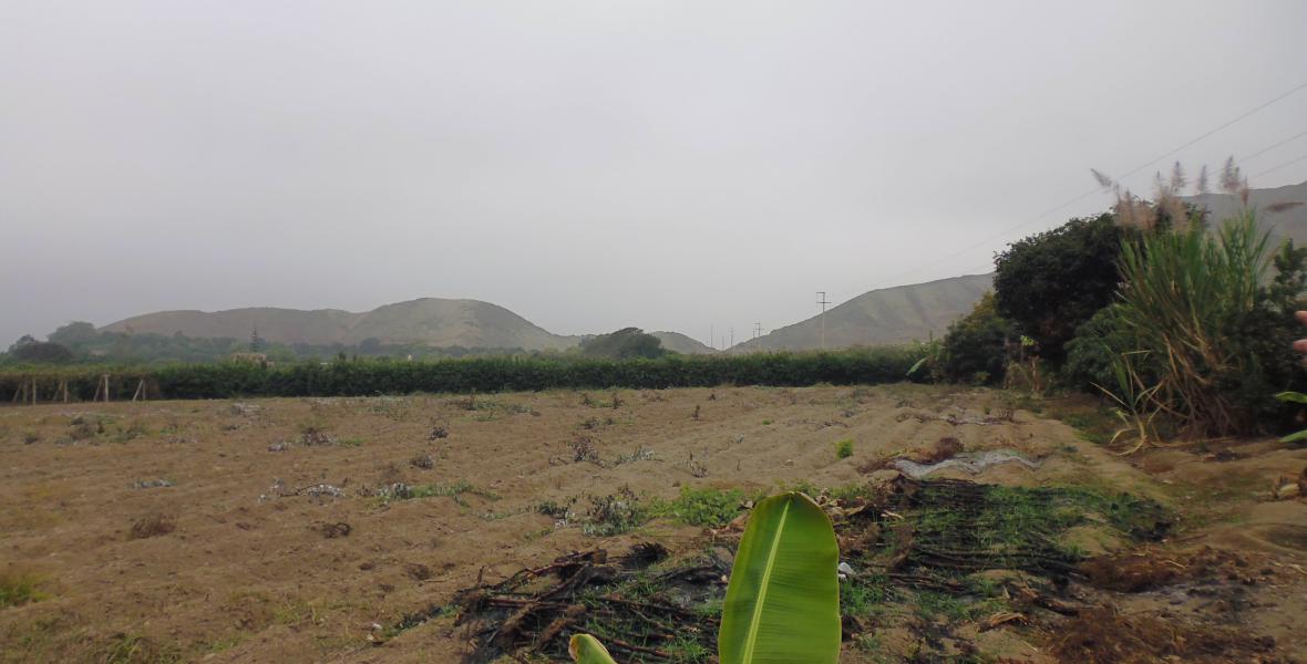 Terrenos Agricolas Venta Rinconada De Mala - MALA